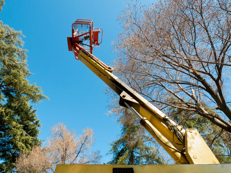 boom lift for tree trimming