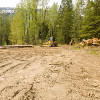land clearing
