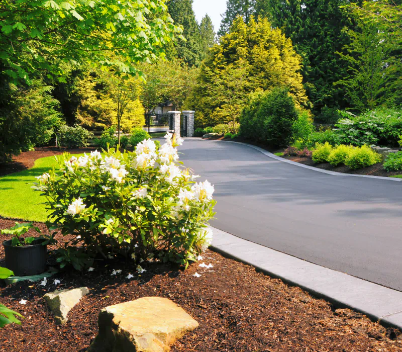 beautiful landscape around wide driveway