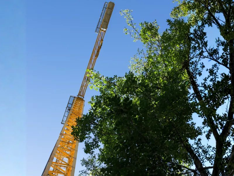 crane assisted tree removal 1