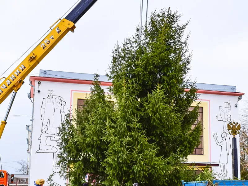crane assisted tree removal